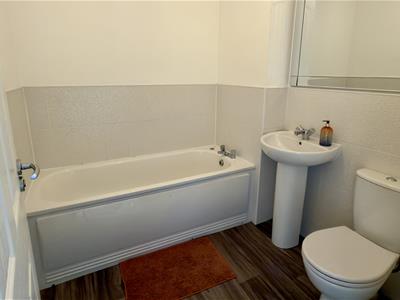 Picture 24